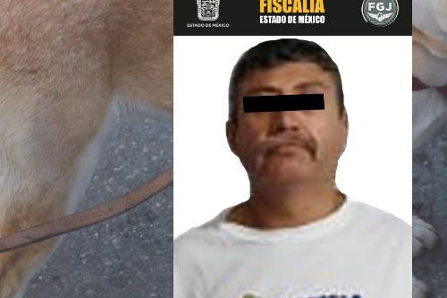Detienen en Jocotitlán a sujeto que disparó a una perrita, dejándola lesionada